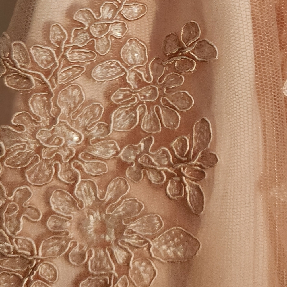 EUC Rare Editions Pink Lace Formal Dress Girls Size 18 months - Picture 5 of 7
